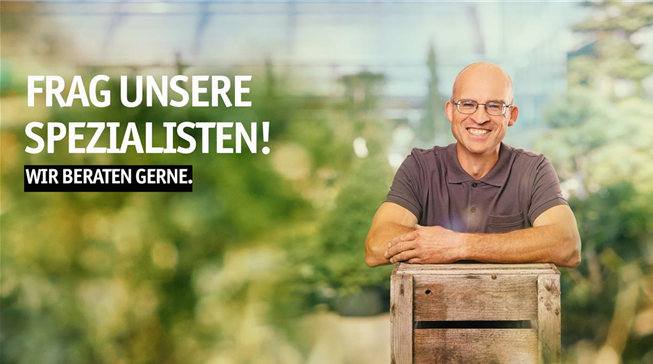 Peter-Dirscherl-Pflanzen-Baumer-Oberviechtach.jpg