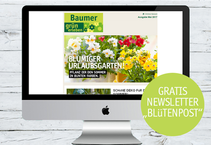 Blütenpost abonnieren Blütenpost abonnieren