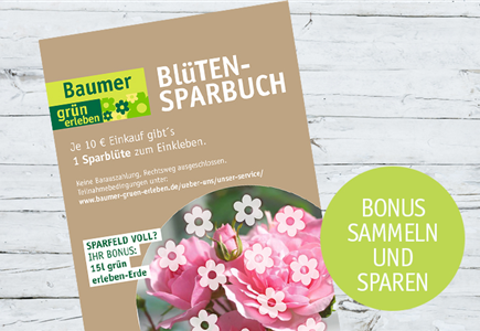 Bonus sammeln Bonus sammeln