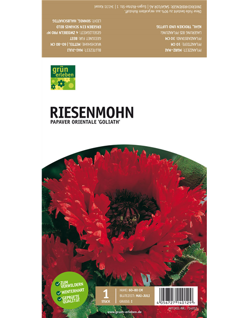 Riesenmohn