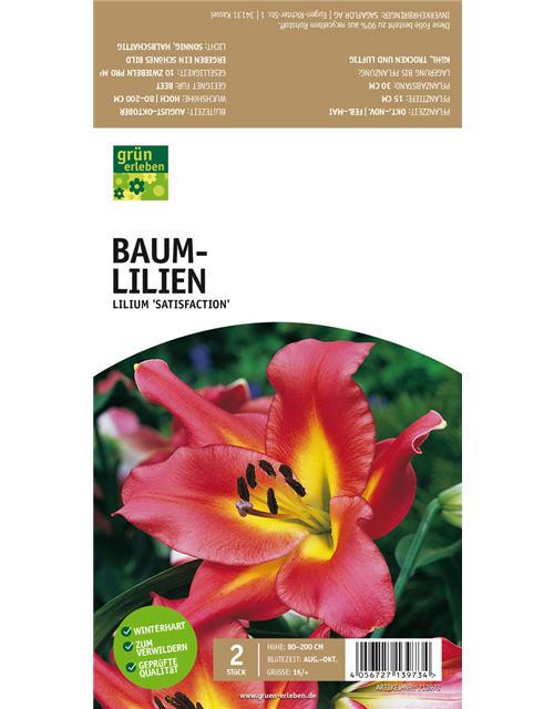 Baum-Lilien