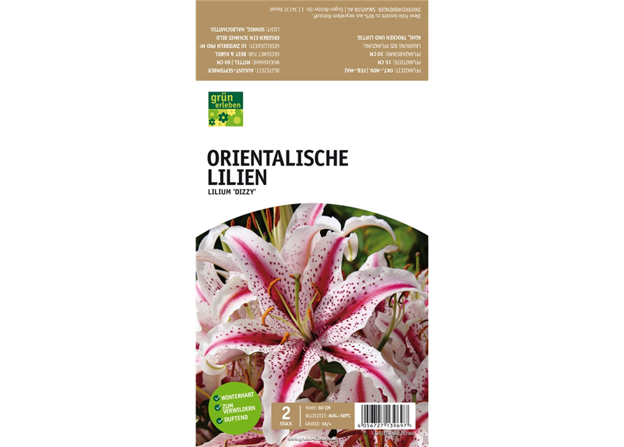 Orientalische Lilien