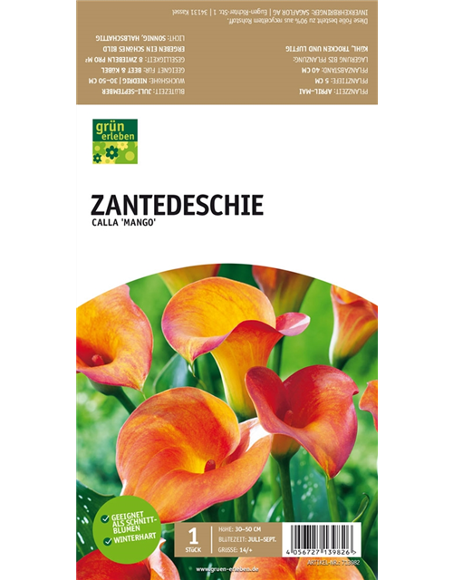 Zantedeschie