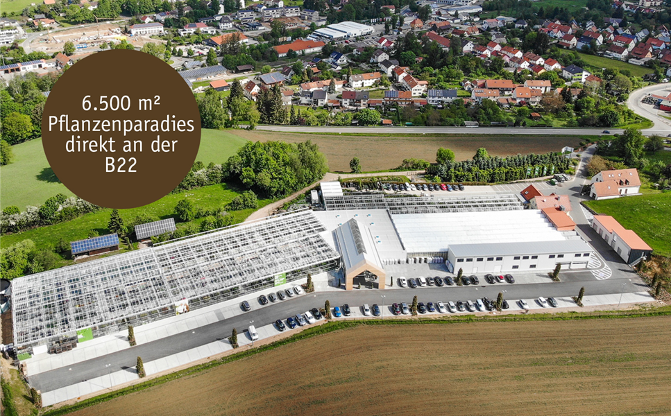 Baumer in Oberviechtach - Öffnungszeiten Baumer in Oberviechtach - Öffnungszeiten