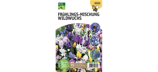 Frühlingswiese