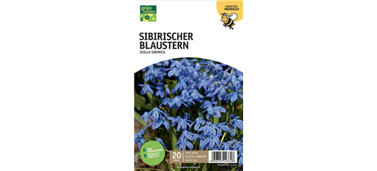 Blausternchen