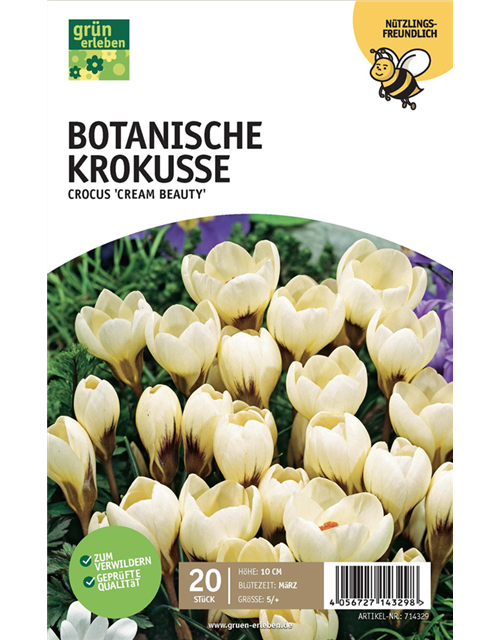 Botanische Krokusse