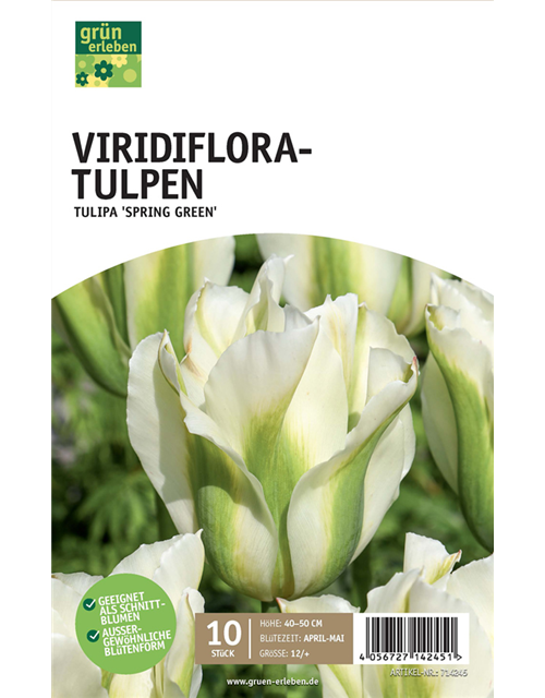 Viridiflora-Tulpen