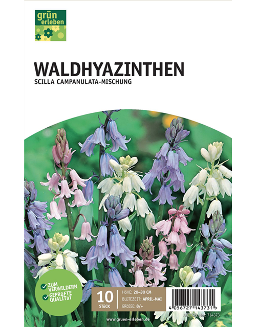 Waldhyazinthen