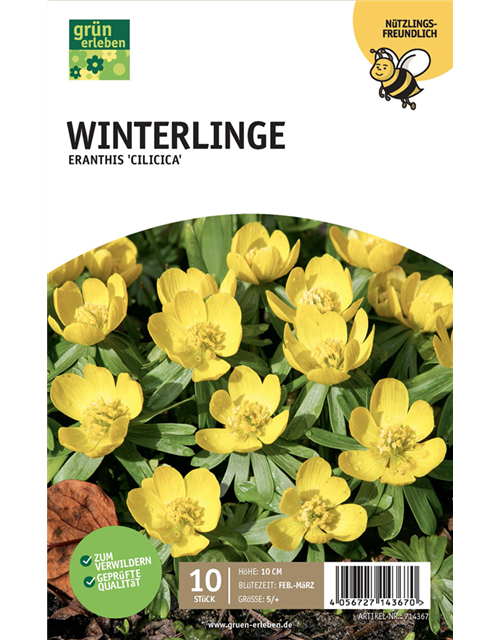 Winterlinge