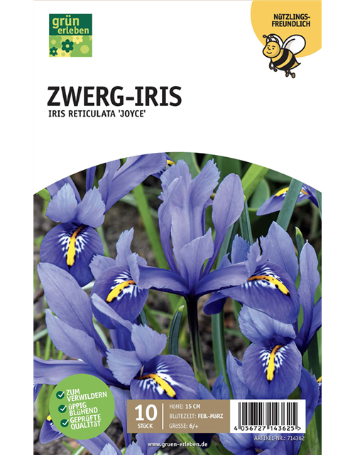 Zwerg-Iris