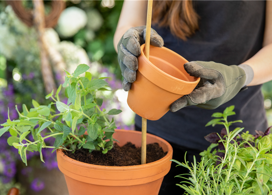 Kreative Gartengestaltung mit DIY-Projekten